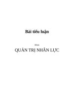 TIỂU LUẬN: QUẢN TRỊ NHÂN LỰC pptx