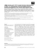 Báo cáo khoa học: ˚ cDNA cloning and 1.75 A crystal structure determination of PPL2, an endochitinase and N-acetylglucosaminebinding hemagglutinin from Parkia platycephala seeds potx