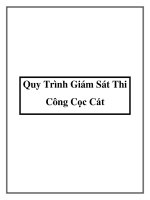 Quy Trình Giám Sát Thi Công Cọc Cát ppt