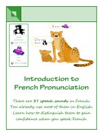 Introduction to French Pronunciation doc