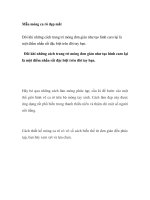 Mẫu móng ca rô đẹp mắt potx