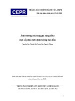 Ảnh hưởng của tăng giá xăng dầu một số phân tích định lượng ban đầu pdf