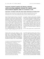 Báo cáo khoa học: Vasoactive intestinal peptide and pituitary adenylate cyclase-activating polypeptide attenuate the cigarette smoke extract-induced apoptotic death of rat alveolar L2 cells ppt