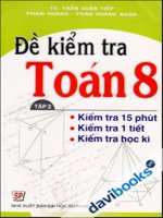 đề kiểm tra toán 8 - tập 2