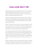 Giáo trình thời USB pot