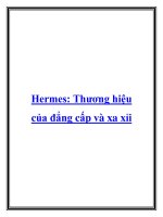 Hermes: Thương hiệu của đẳng cấp và xa xỉi.Có thể nói Hermes đã trở thành potx