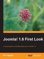 joomla! 1.6 first look