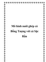 Mô hình nuôi ghép cá Bống Tượng với cá Sặc Rằn potx