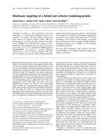 Báo cáo khoa học: Membrane targeting of a folded and cofactor-containing protein potx