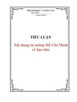 TIỂU LUẬN: Nội dung tư tưởng Hồ Chí Minh về đạo đức potx