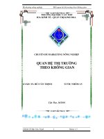 Tiểu luận: Mối quan hệ thị trường theo không gian potx