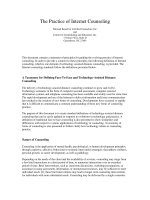 The Practice of Internet Counseling potx