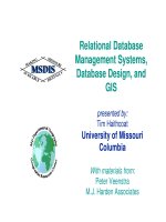 Relational Database Management Systems, Database Design, and GIS pptx