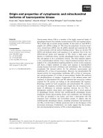 Báo cáo khoa học: Origin and properties of cytoplasmic and mitochondrial isoforms of taurocyamine kinase pptx