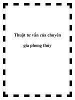 Thuật tư vấn của chuyên gia phong thủy pptx