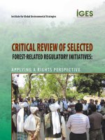 critical review of selected forest regulatory initiatives applying a rights perspective