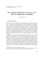 The Marginal External Cost of Car - with an Application to Belgium - potx