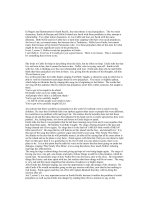 pride and predjuce in south pacific 5