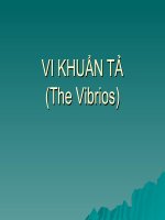 Vi khuẩn tả docx