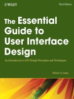 The Essential Guide to User Interface Design ppt