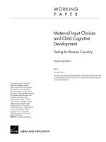 Matenal input Choices and Child Cognitive Development pptx