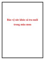 Bảo vệ sức khỏe cá tra nuôi trong mùa mưa pdf