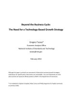 Beyond the Business Cycle: The Need for a Technology-Based Growth Strategy potx