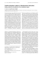 Báo cáo Y học: Trehalose-phosphate synthase of Mycobacterium tuberculosis Cloning, expression and properties of the recombinant enzyme pdf