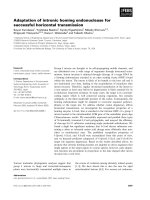 Báo cáo khoa học: Adaptation of intronic homing endonuclease for successful horizontal transmission pptx