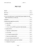 Cổ phần hóa và đánh giá quá trình cổ phần hóa các doanh nghiệp Nhà nước Việt Nam