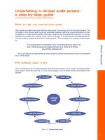 Undertaking a clinical audit project: a step-by-step guide docx