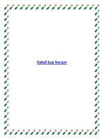 Salad kẹp burger potx