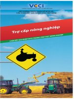 TRỢ CẤP NÔNG NGHIỆP - CAM KẾT GIA NHẬP WTO TRONG LĨNH VỰC NÔNG NGHIỆP pptx