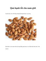 Quả hạnh tốt cho nam giới docx