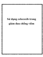 Sử dụng celecoxib trong giảm đau chống viêm pot