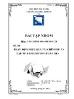 ĐỀ TÀI: THẨM ĐỊNH HIỆU QUẢ TÀI CHÍNH DỰ ÁN ĐẦU TƯ BẰNG PHƯƠNG PHÁP NPV pot