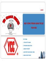 Mặt cứng trong quản lý sự thay đổi