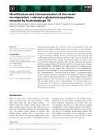 Báo cáo khoa học: Identiﬁcation and characterization of the metal ion-dependent L-alanoyl-D-glutamate peptidase encoded by bacteriophage T5 pdf