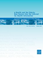 e-Health and the Elderly: How Seniors Use the Internet for Health Information pot