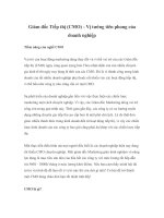 Giám đốc Tiếp thị (CMO) - Vị tướng tiên phong của doanh nghiệp doc