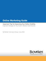 Online Marketing Guide: Important Tips for Improving Your Online Visibility docx