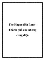 The Hague (Hà Lan) Thành phố của những cung điện pptx