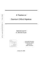 treatise on quantum clifford algebras - fauser