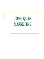 TỔNG QUAN MARKETING pdf