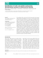 Báo cáo khoa học: Identiﬁcation of malic and soluble oxaloacetate decarboxylase enzymes in Enterococcus faecalis potx