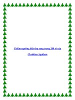 Chiêm ngưỡng biệt thự sang trọng 200 tỷ của Christina Aguilera pdf