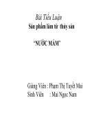 Sản phẩm làm từ thủy sản “NƯỚC MẮM” potx