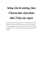 Không cần lò nướng, làm Cheesecake chocolate dâu 3 lớp cực pptx