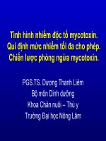 MYCOTOXIN VÀSỰ NGỘ ĐỘC THỰC PHẨMDO MYCOTOXIN potx