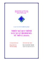 thiết kế quy trình sản xuất dầu diesel sinh học ( biodiesel) từ mỡ cá tra,cá basa